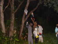 �J�u�g���V�߂�̌�