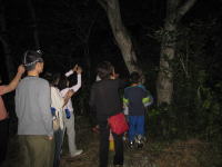 �J�u�g���V�߂�c�A�[